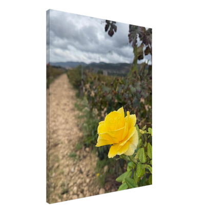 4b99fcc3-8265-4f9c-bf55-fe18efff6092