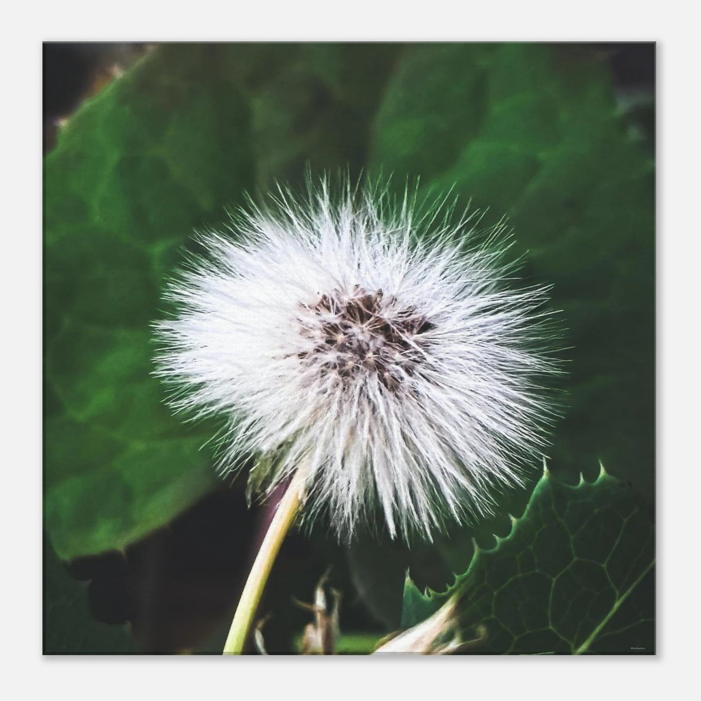 4bb8bdb6-3acf-46bc-b45d-ea4cd96c9f4b