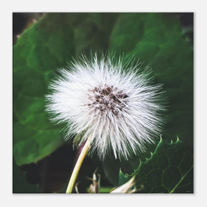 4bb8bdb6-3acf-46bc-b45d-ea4cd96c9f4b