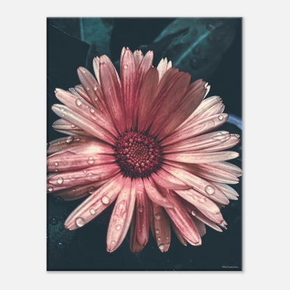 4bbeede5-8e55-4a08-b22c-75088a28b1be