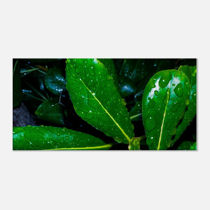 4bcc0be3-82ae-441d-9c12-cc3f2f53c589