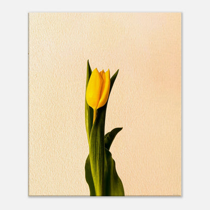 4c0370fc-99c3-48e8-8d12-ea1d90daa3d8