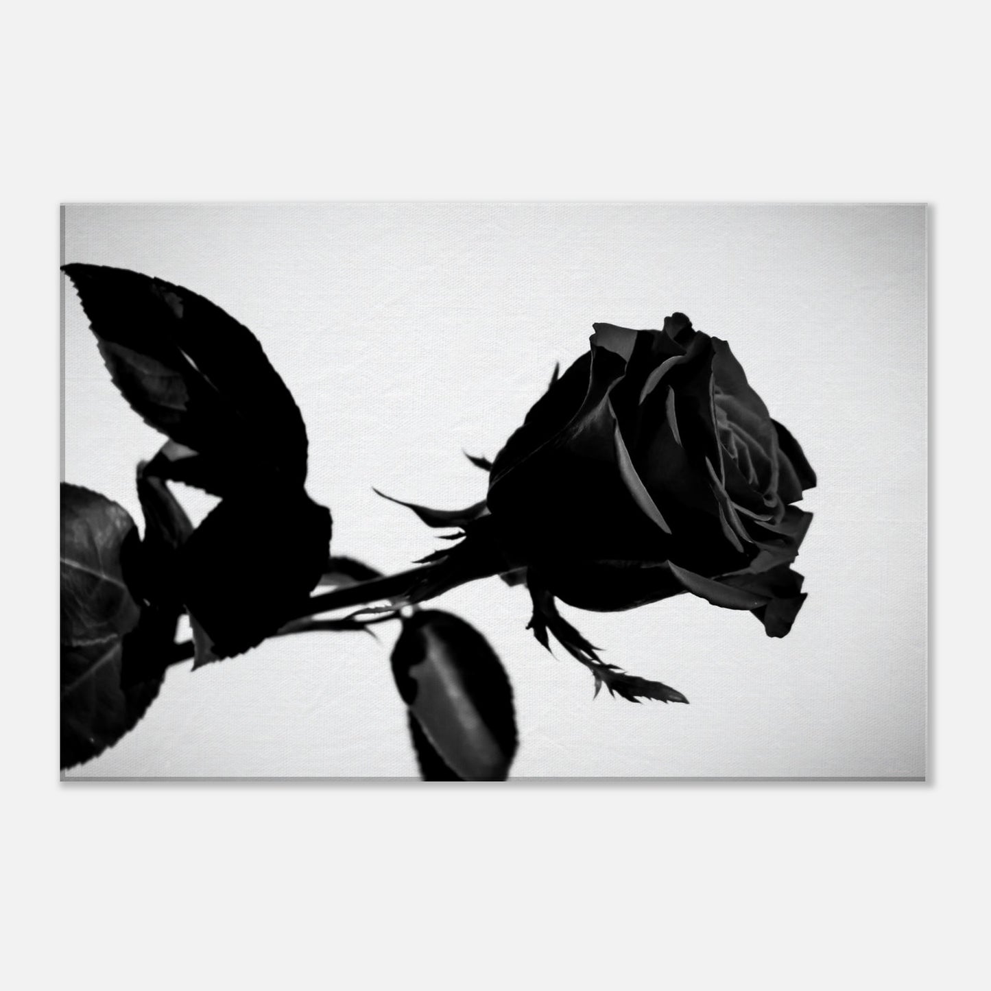 4c1872fd-0332-4912-89c1-a7e4a22779a7