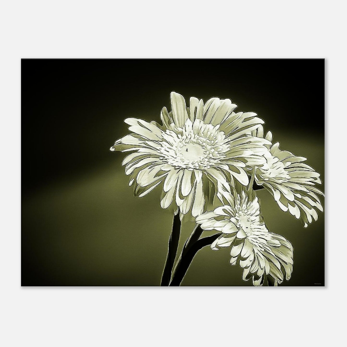 4c1bd740-8044-49a0-a6ec-e0acd75d7941