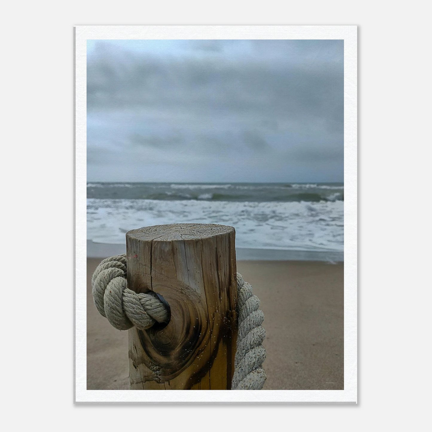 4c37ba81-c59e-409f-a02c-caea79c67246