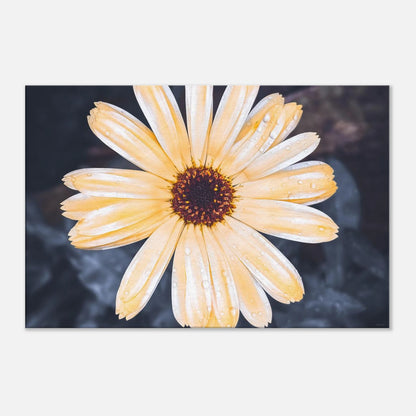 4c47dc66-812c-48da-9291-62fa055a949d