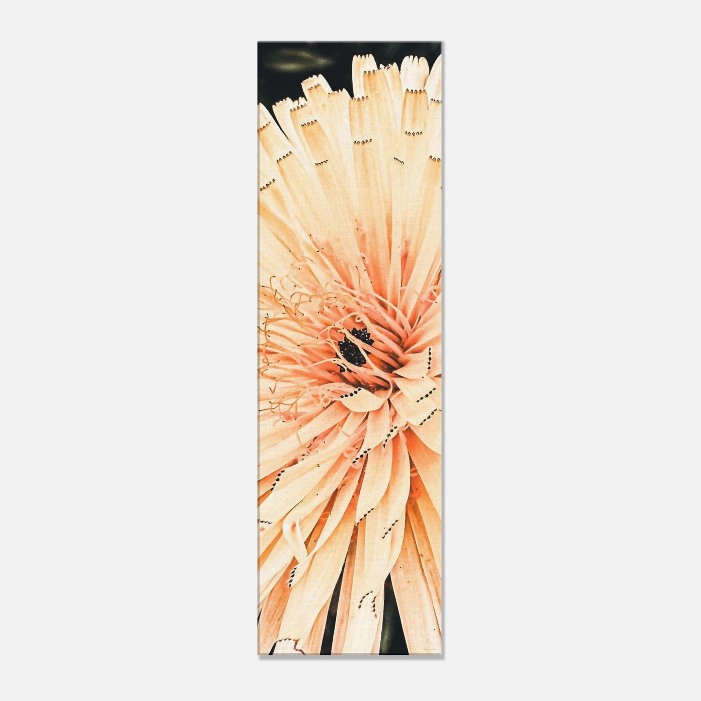 4c759c79-8075-478a-98bf-22c11680b234