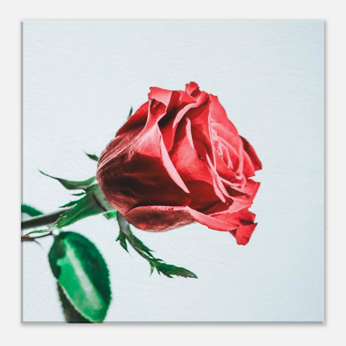 4c8aa55e-bd08-4b2c-b068-e7c5005f4d7a