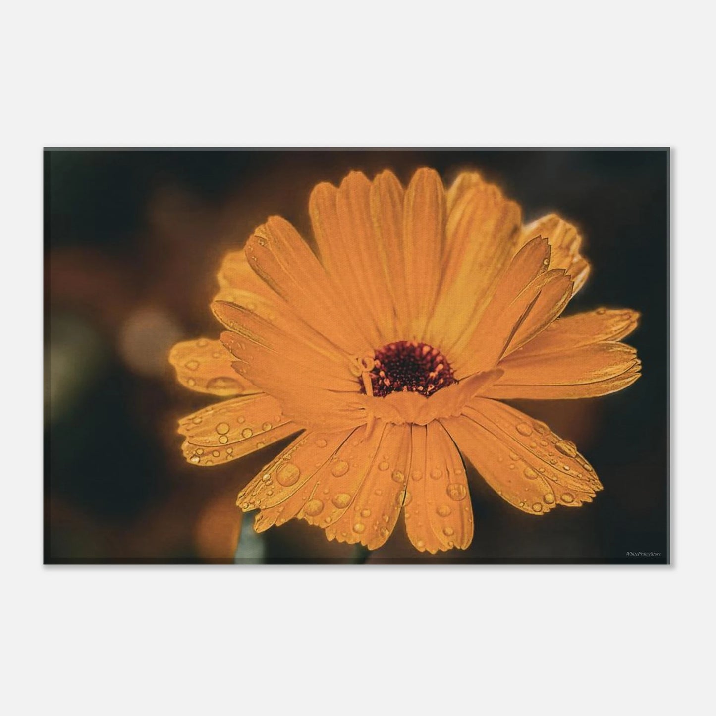 4c970743-f72f-4299-a891-e670a5050b9f