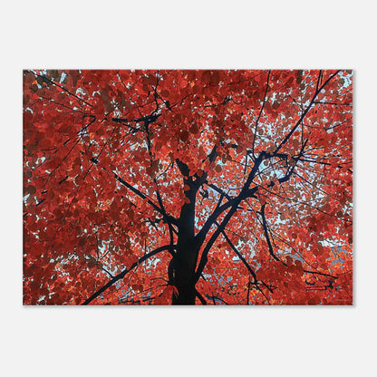 4c9adcbe-33fc-4146-94aa-8615b5eaa426