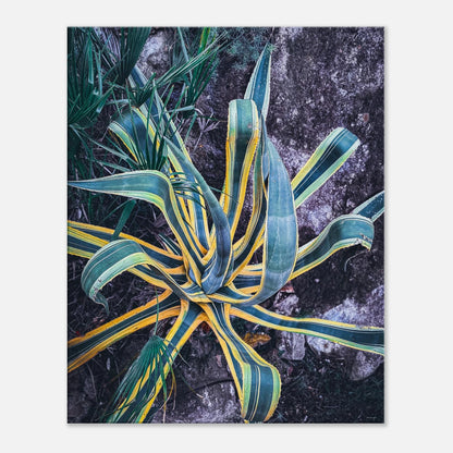 4ca1c1e7-025d-43a7-a62a-9aeee477c3a0