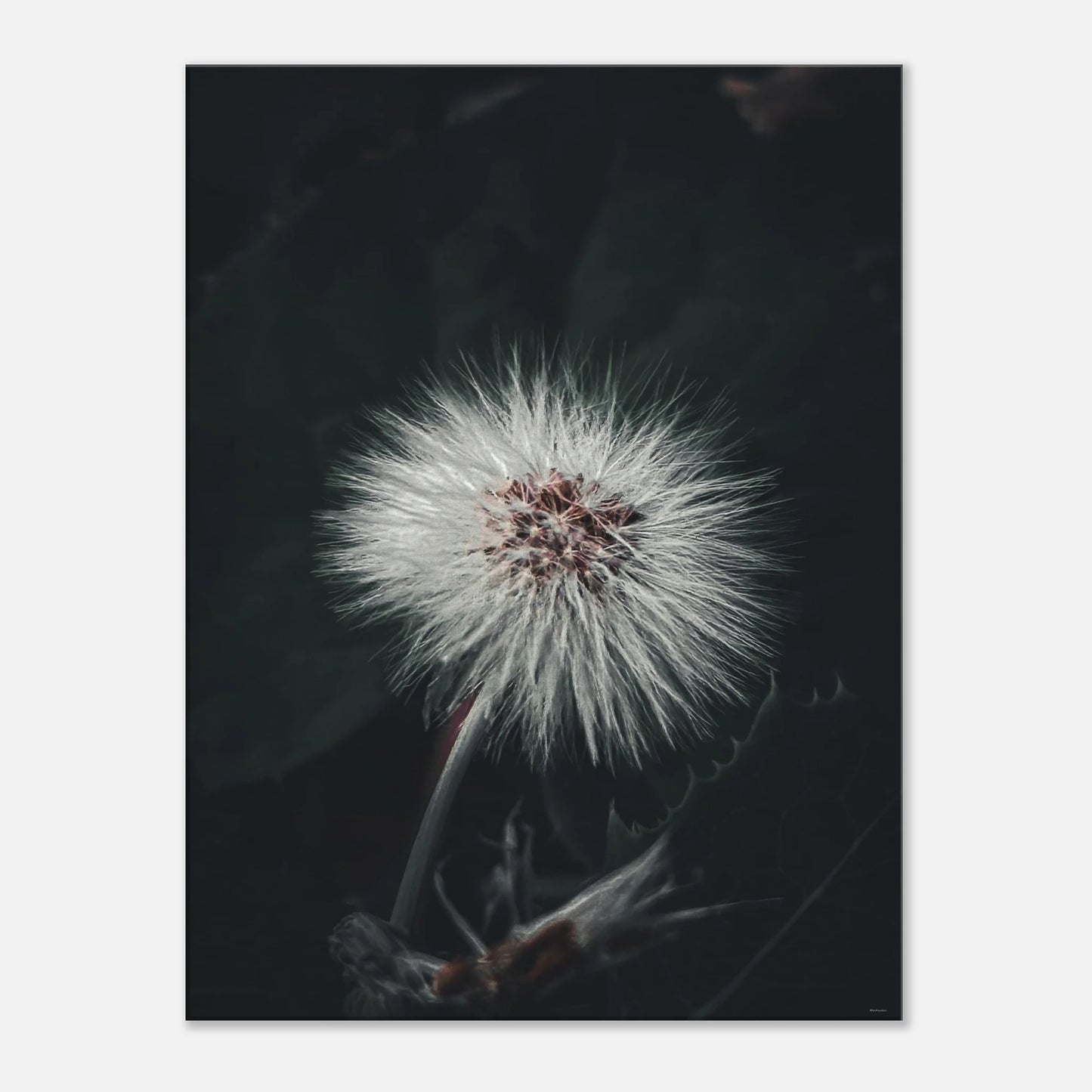 4cea02d1-d38b-498f-9f22-7e6194bf1719