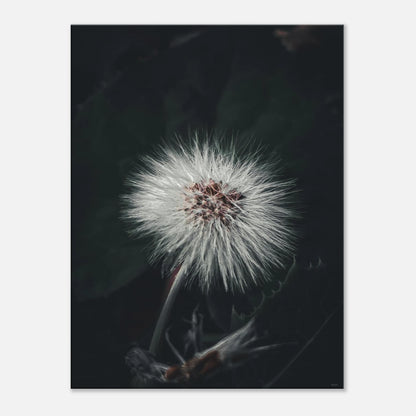 4cea02d1-d38b-498f-9f22-7e6194bf1719