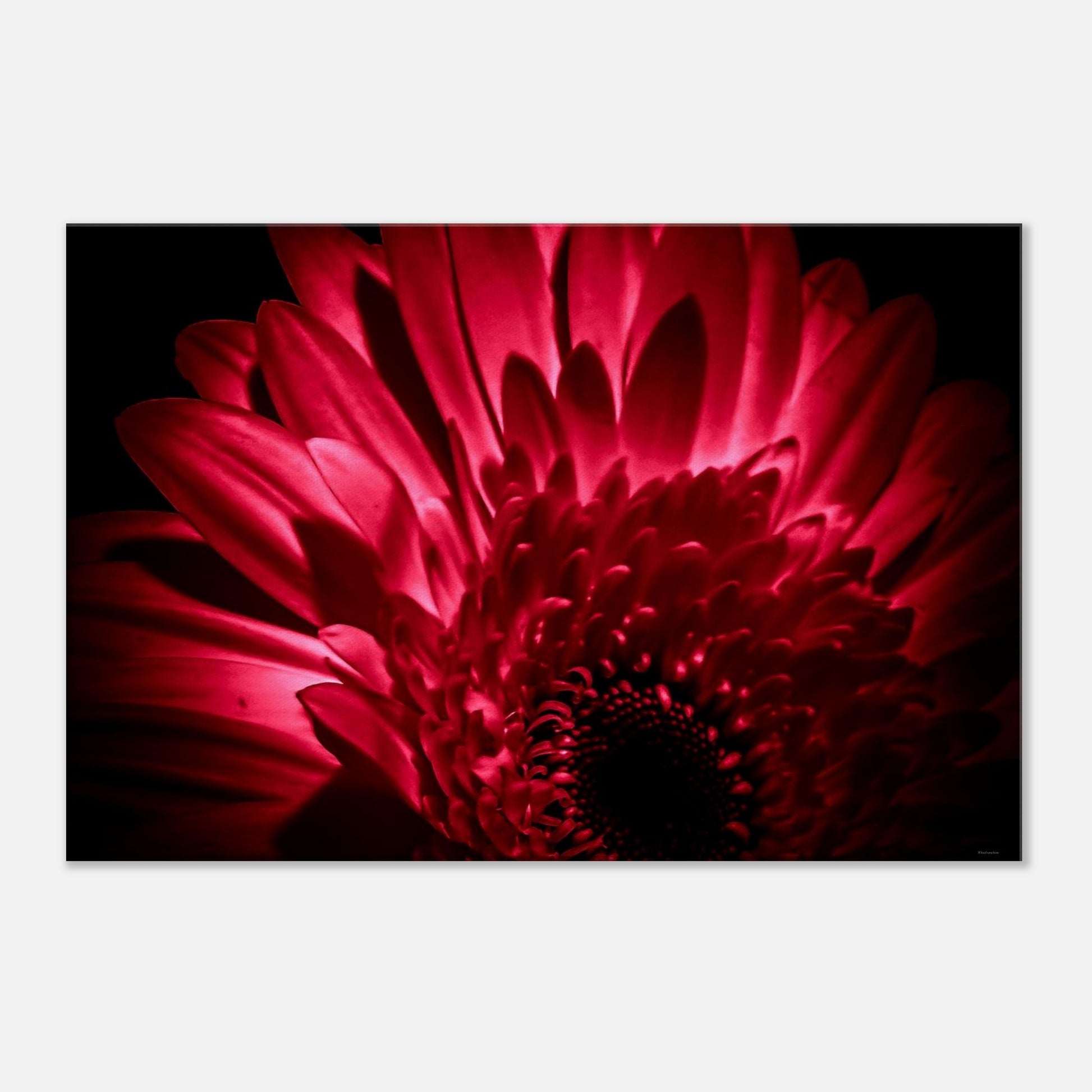 4cfa4db1-c8fc-4d2f-af50-20c546624dad