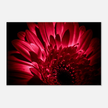 4cfa4db1-c8fc-4d2f-af50-20c546624dad