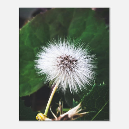 4cfc2e68-c9ec-4722-8fe5-6988128dc9a6