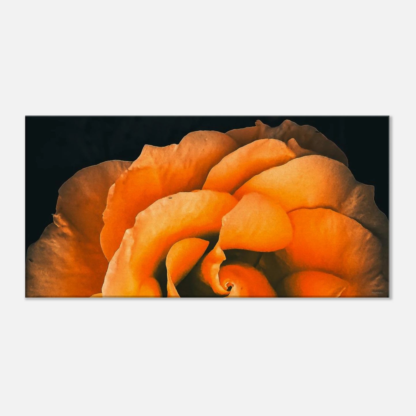 4d0f5e70-2ace-42ac-ac2e-a0e2d75fe9bc