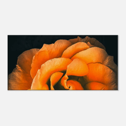 4d0f5e70-2ace-42ac-ac2e-a0e2d75fe9bc