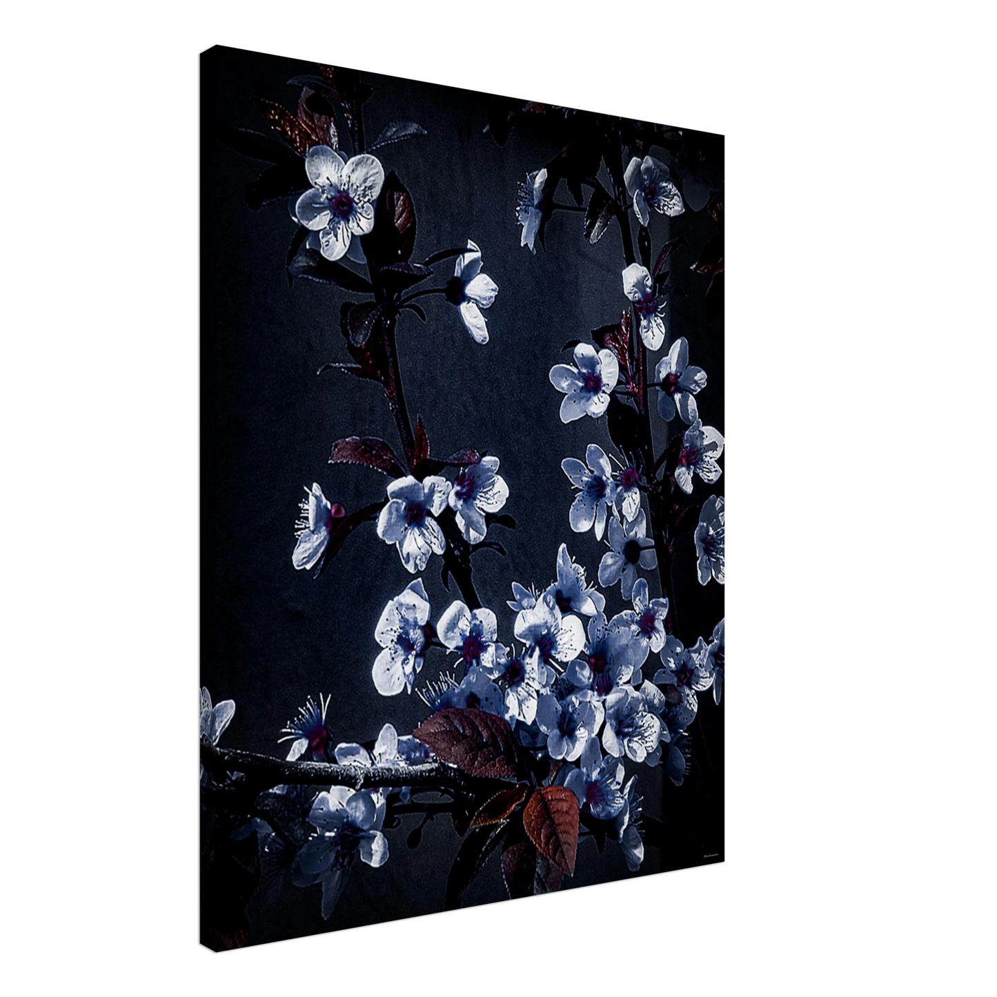 4d3ca31a-bb46-47ee-b824-d583d3b0e5cf