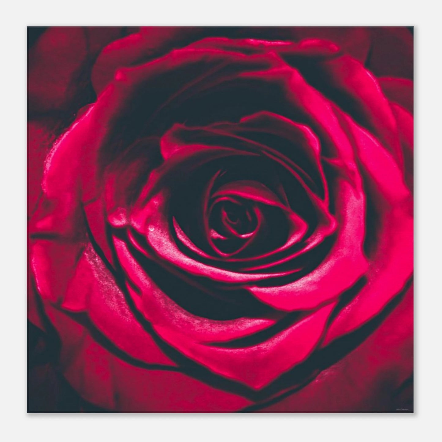 4d46d09a-879a-4422-a060-18c9d18ff266