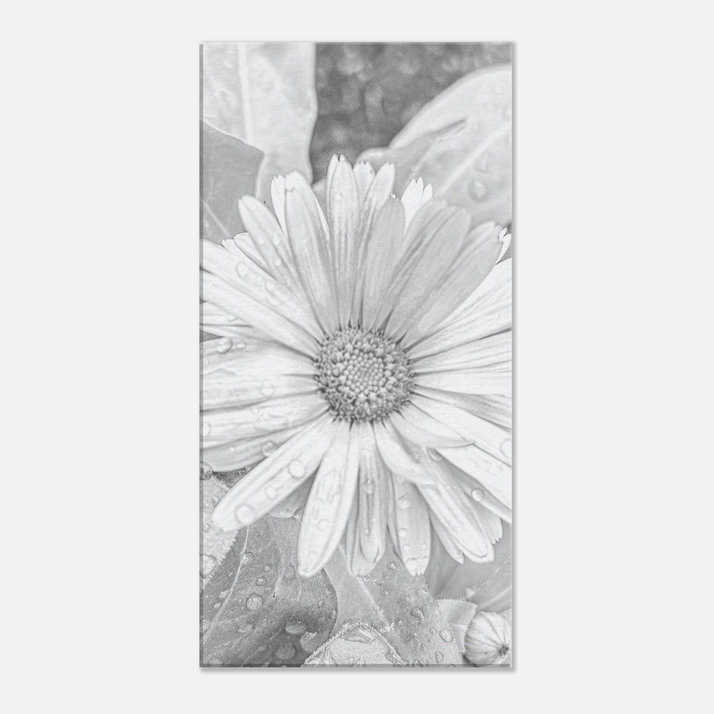 4d49aaff-d381-4bcb-a5b9-3c27a6e49936