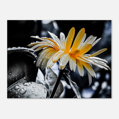 4d829560-a8e0-43f4-a072-41613a947984