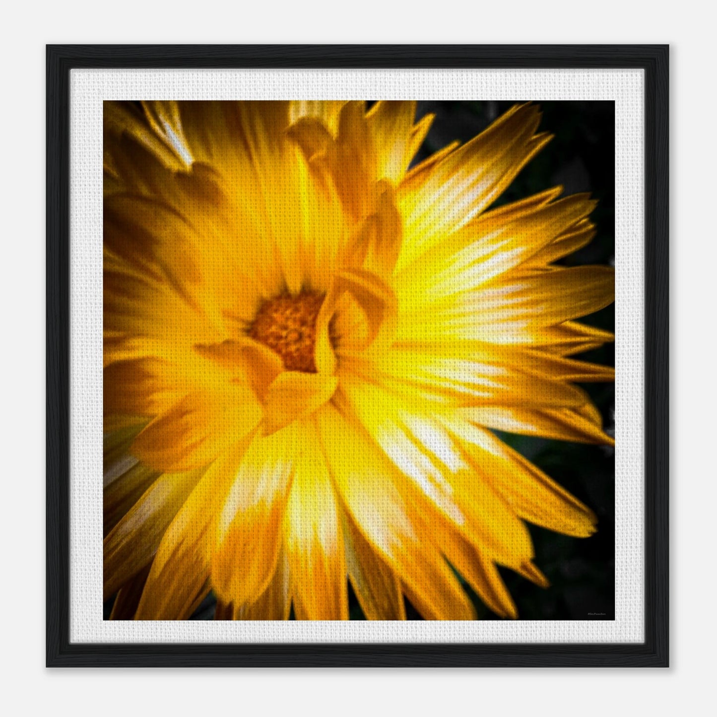 4d9afaca-fdae-4a7f-9932-49c3216cd7e5