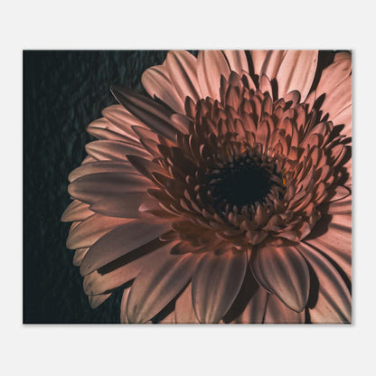 4dc3c23c-db04-4d99-b826-9496f4ecf9fe