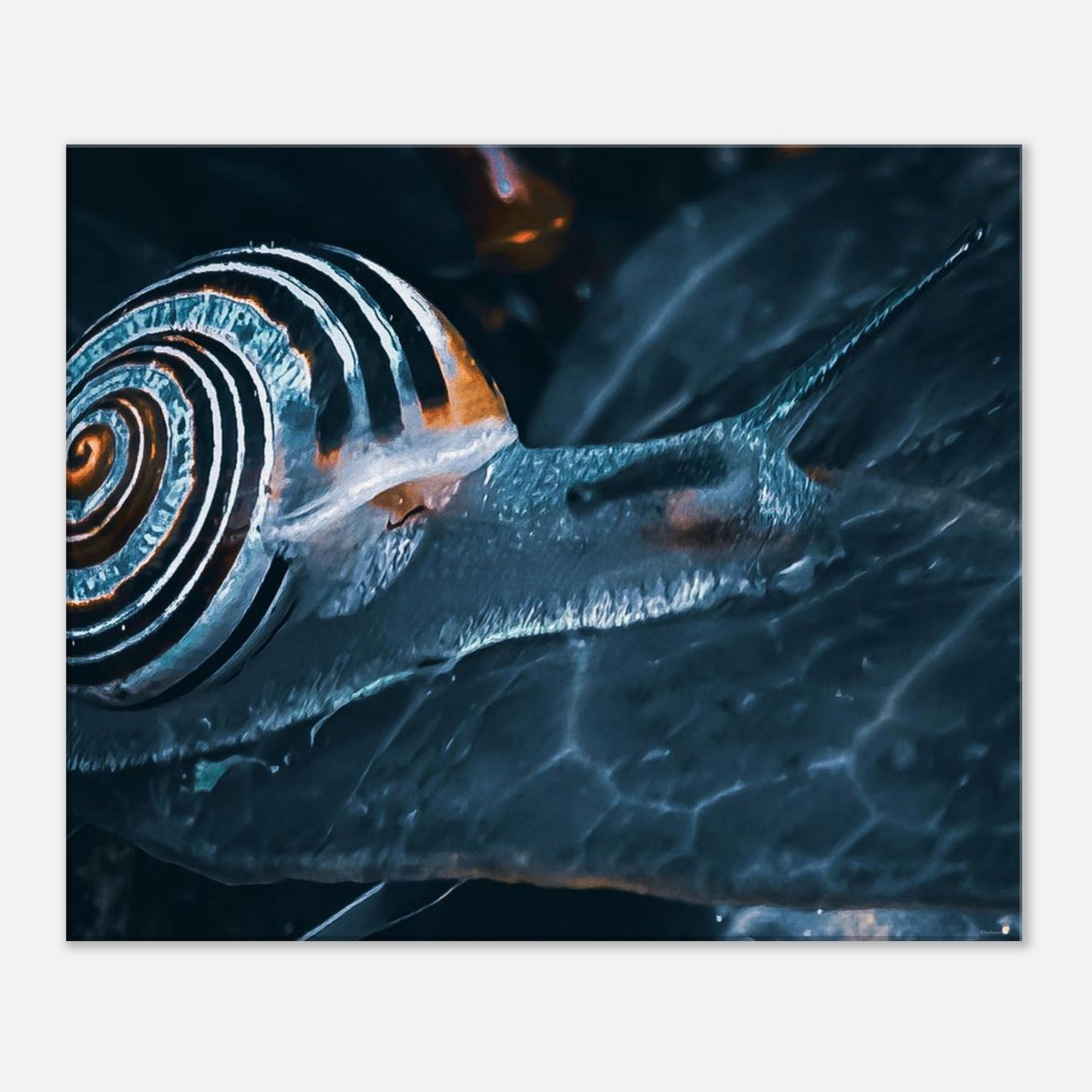 4de13d6b-11f9-4af1-bdd8-151efbfcecd7