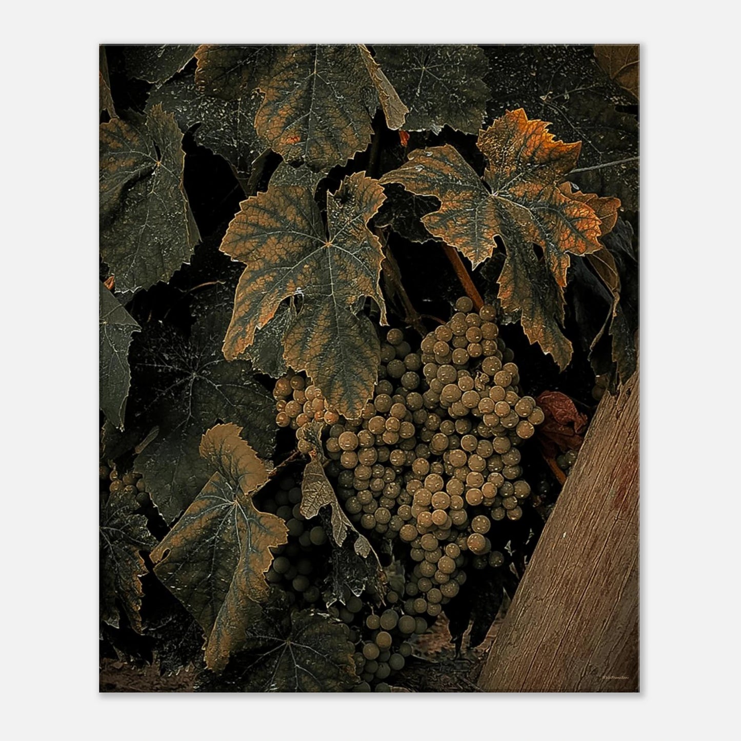 4ded0764-36a0-42cc-9e6a-42a82b58fd95