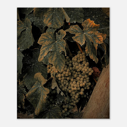 4ded0764-36a0-42cc-9e6a-42a82b58fd95