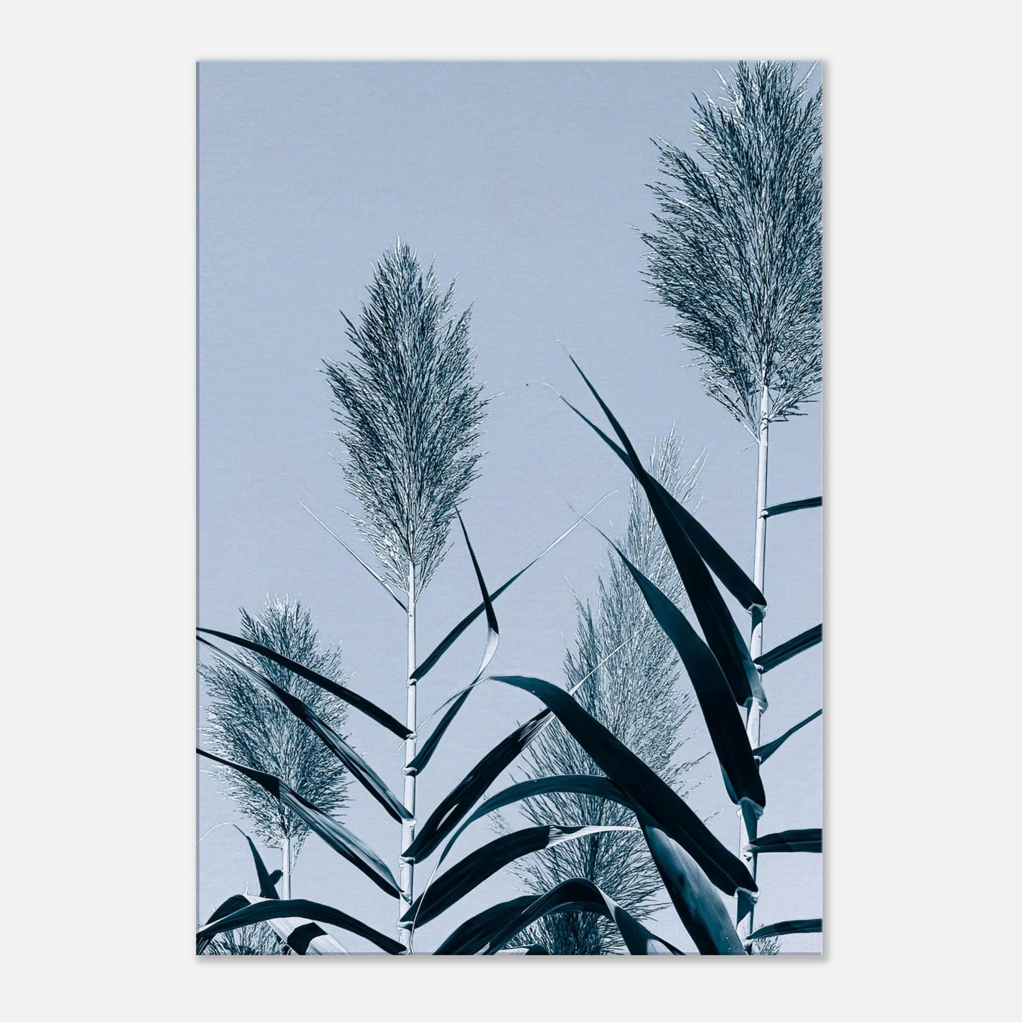 4df7cc37-c29f-44d1-8a6f-13ab1f291b87