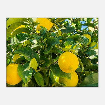 4e1459fe-d597-4d8e-8d8e-3790d2783b87