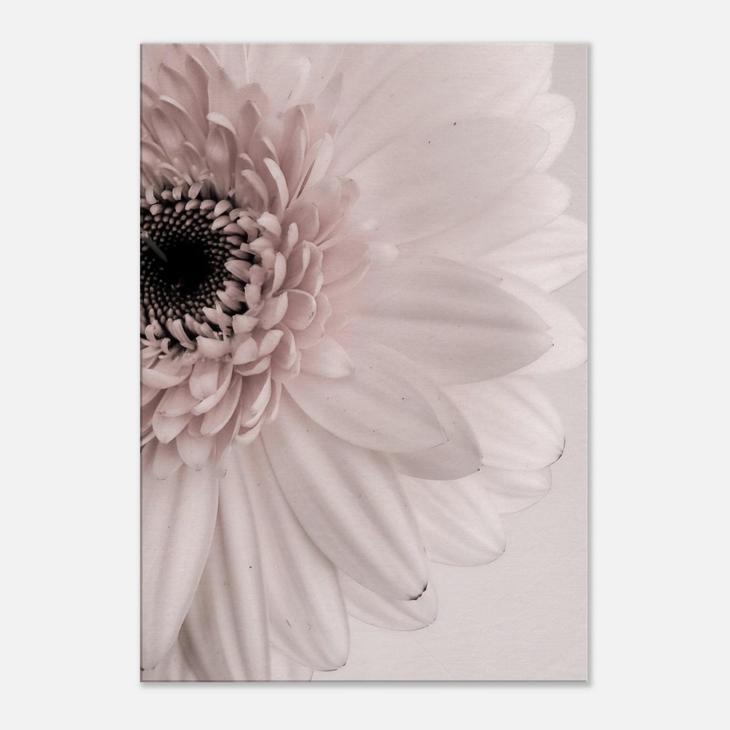 4e219bff-6d38-4843-abbb-3c49bb4476d2