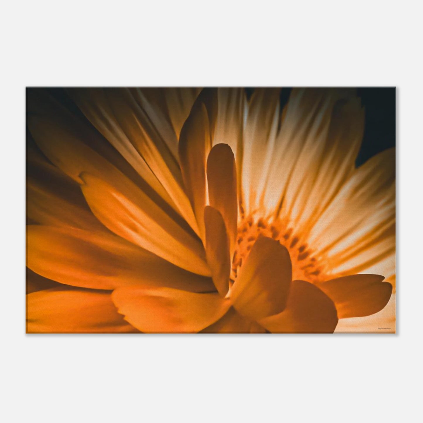 4e58de11-72a2-4656-afbc-c26677ed19f0