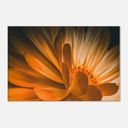 4e58de11-72a2-4656-afbc-c26677ed19f0