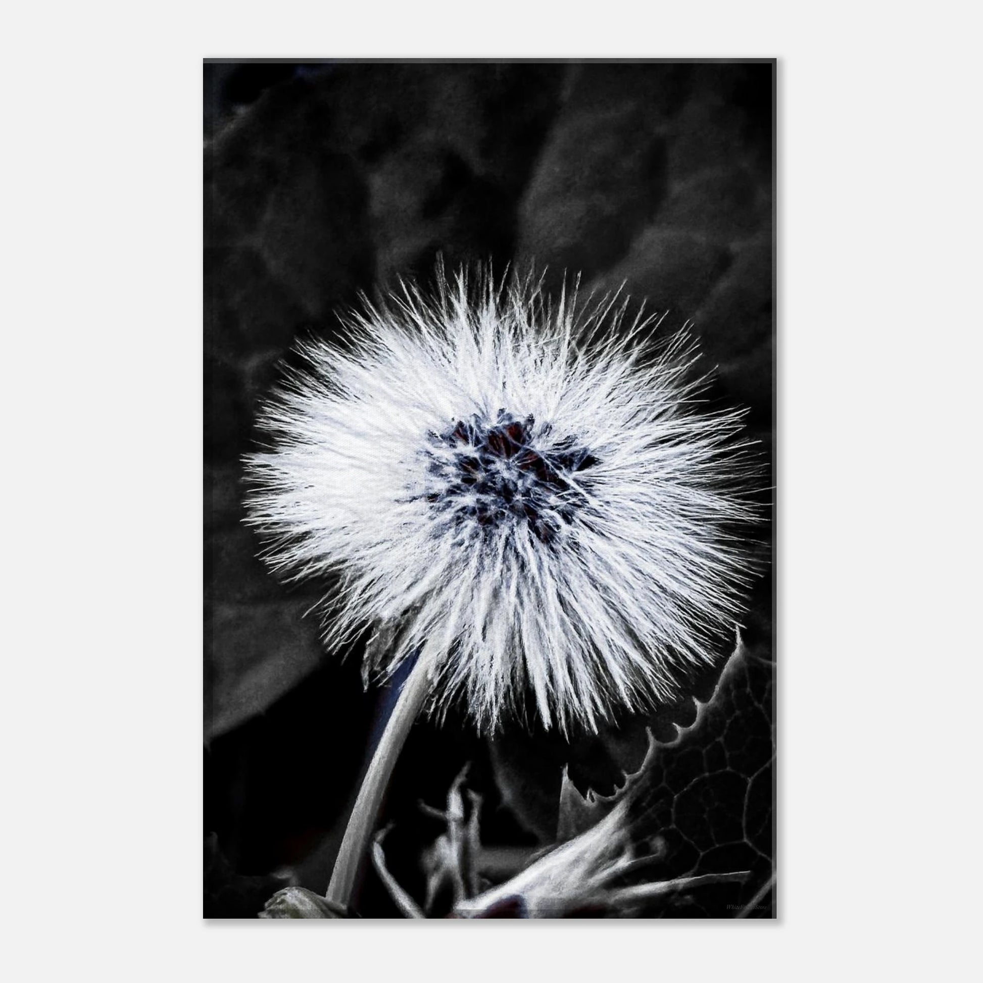 4e64438c-edfe-430f-b902-5fb81a9a2874