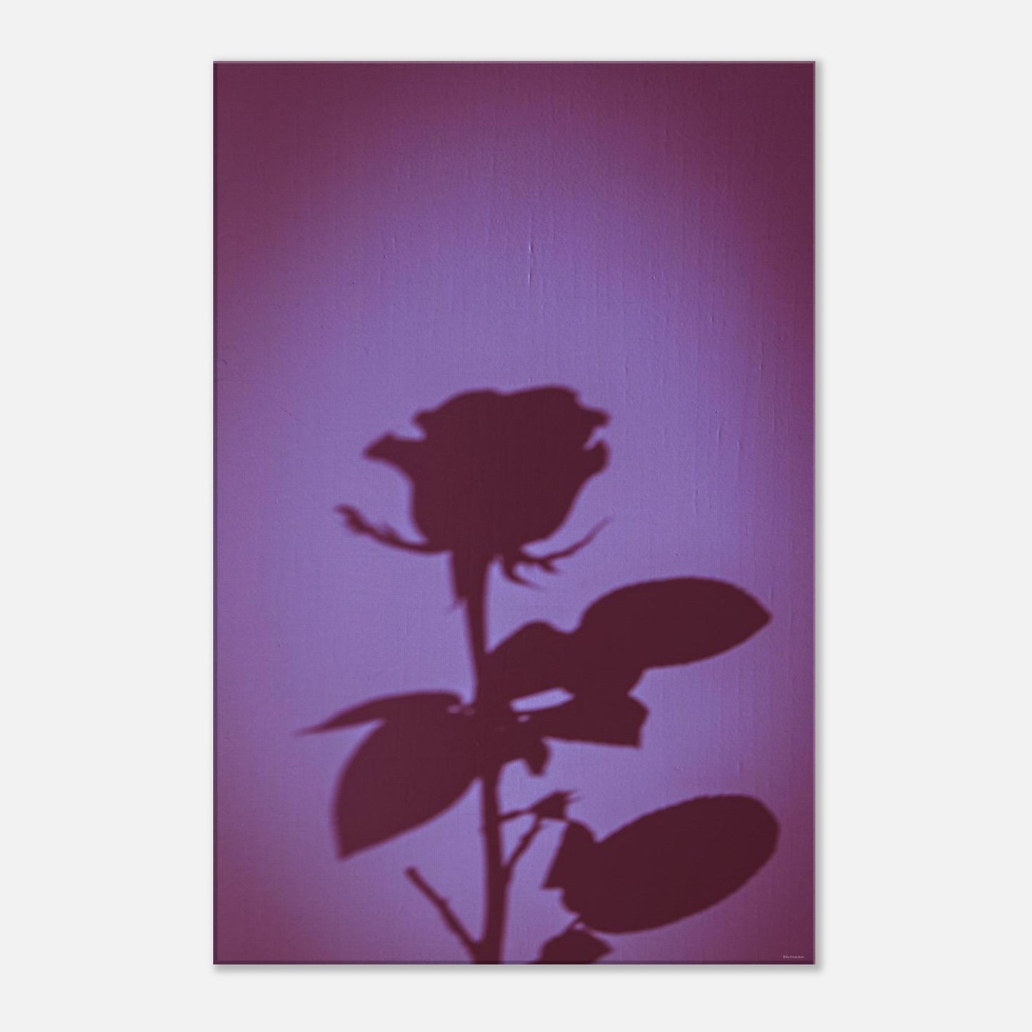 4e64d7eb-7cdb-4b97-9386-ade2bc05b60f