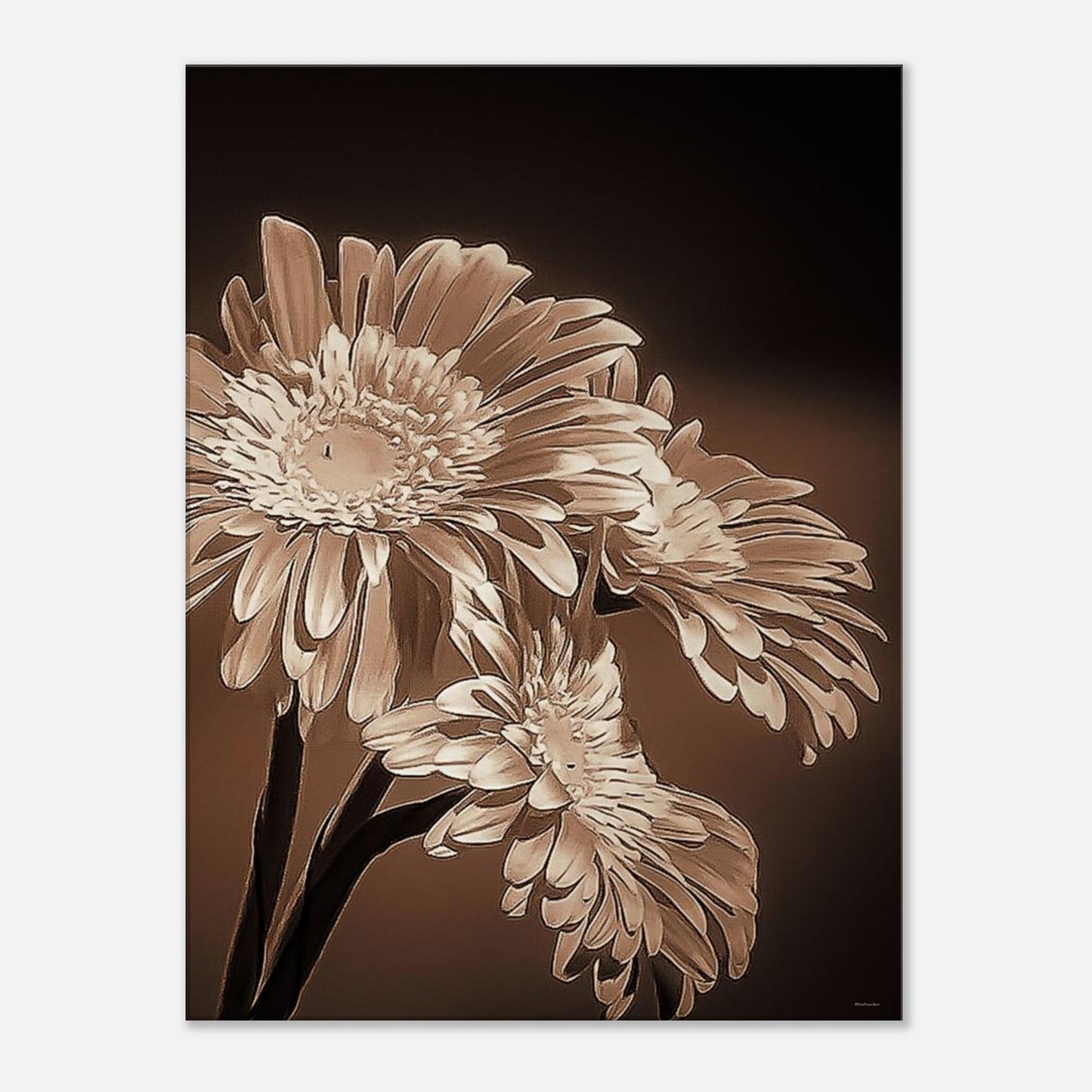 4e6e219a-43e9-4198-af2c-d0f598a4bc57