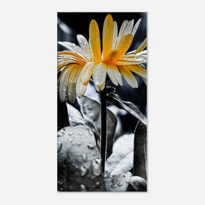 4e747753-b116-4b51-be2e-e46f8e03222b