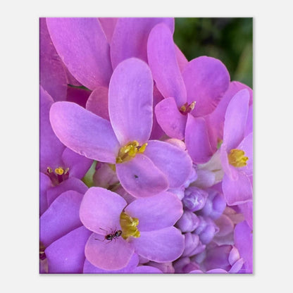 4e979c13-8ccb-46cf-9205-38ddeebba5c8