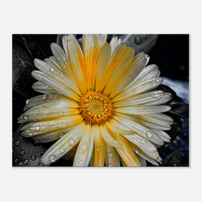 4f27461a-0d76-4cc4-846c-81f05f9441e7