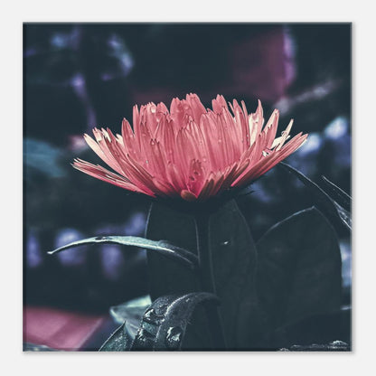 4f3f456a-be69-4434-a23f-5a98f493270b