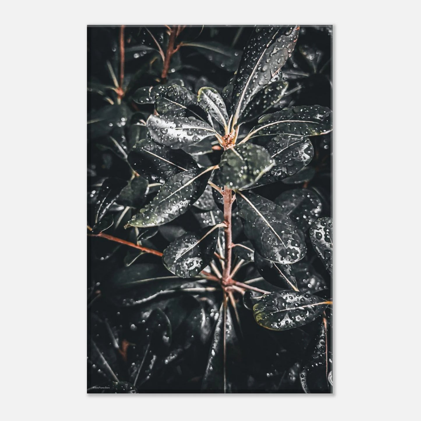 4f543a1b-82c5-4648-8ae4-626366009c04