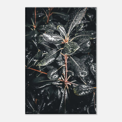 4f543a1b-82c5-4648-8ae4-626366009c04