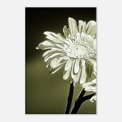 4f6c5a75-1a72-4159-ab71-1c72070a7da9