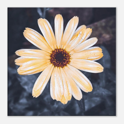 4f82494d-a353-4545-9593-0d5b9ff4fd9c