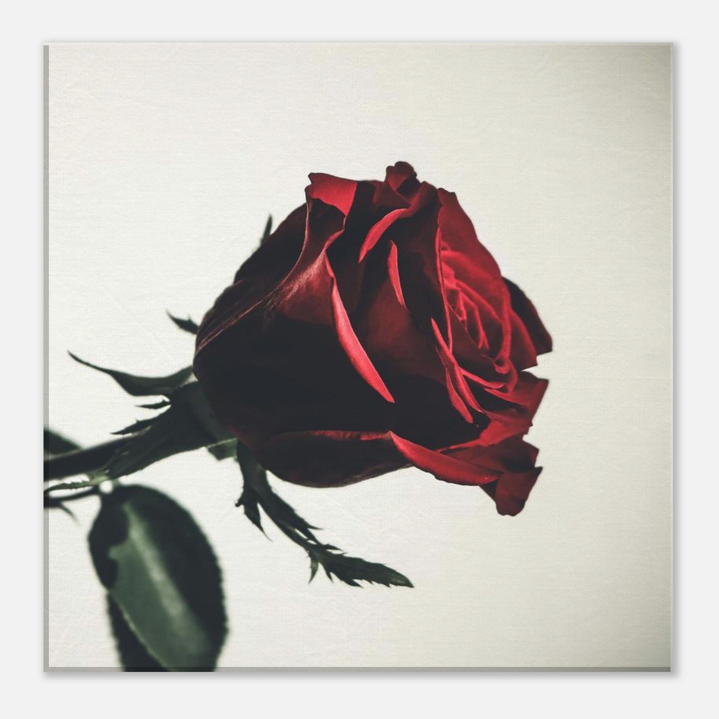 4fa331d0-1cad-45f1-9c25-6dd57c4dcba8