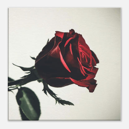 4fa331d0-1cad-45f1-9c25-6dd57c4dcba8