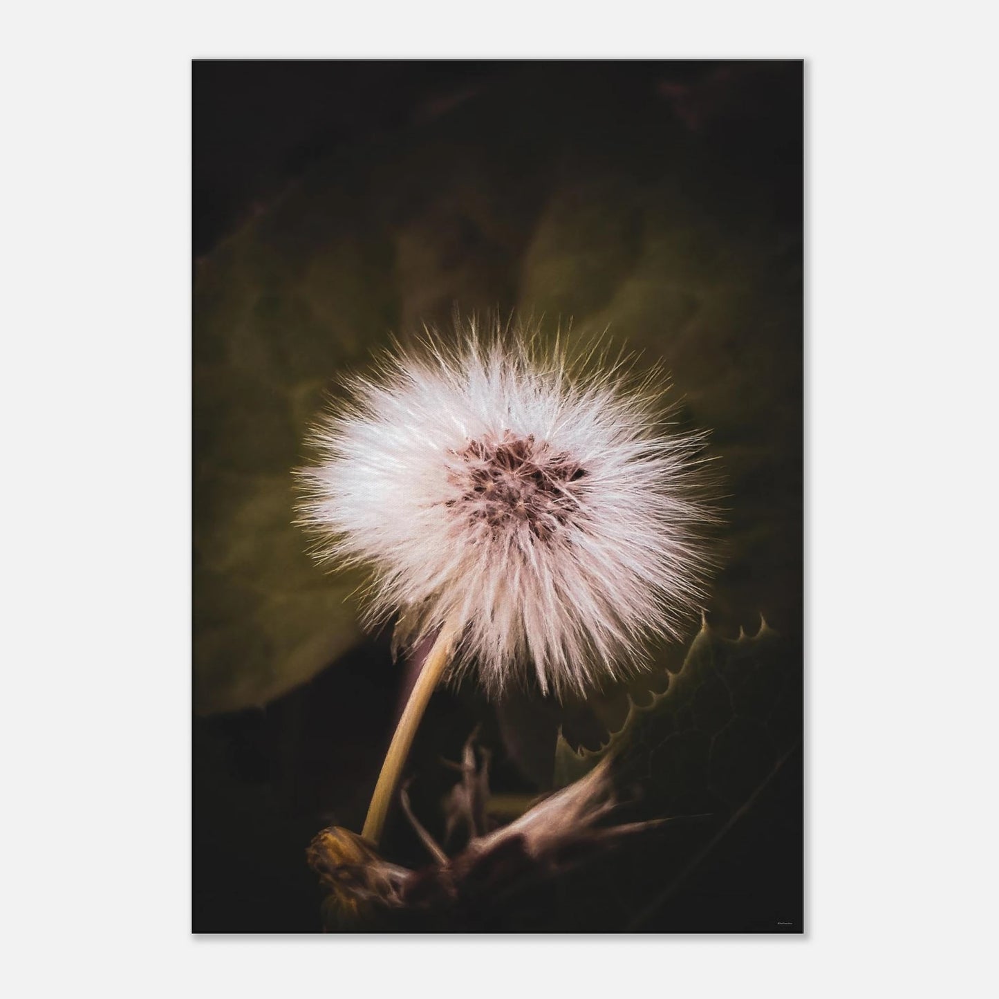 4fd93958-884a-4383-987e-3f23fb6fe747